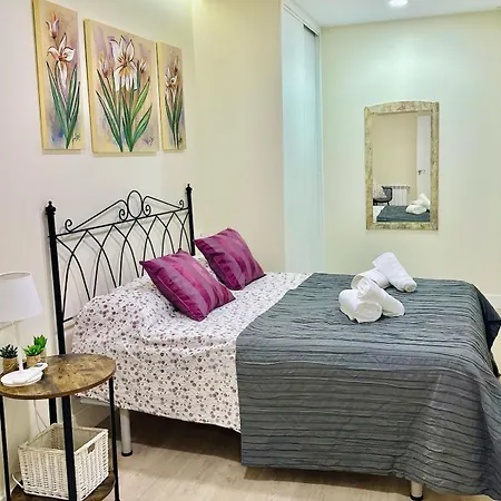 La Beltraneja Xiii Con Encanto En El Casco Historico * 普拉森西亚